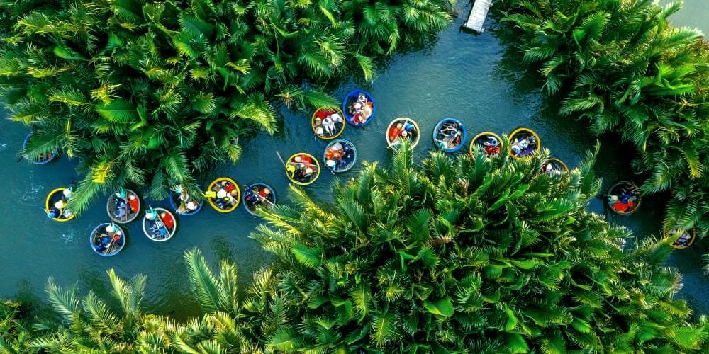 Bay Mau Coconut Forest